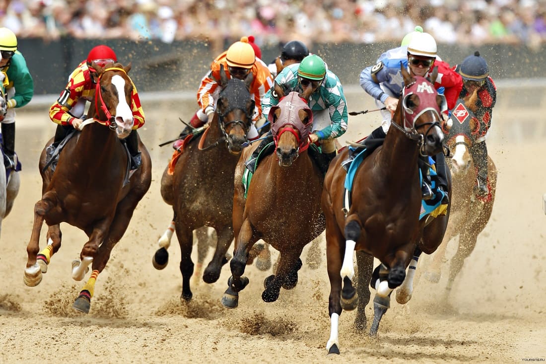 carreras de caballos en apuestas en línea
